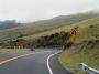 04HaleakalaBike - 19 * Lots of switchbacks